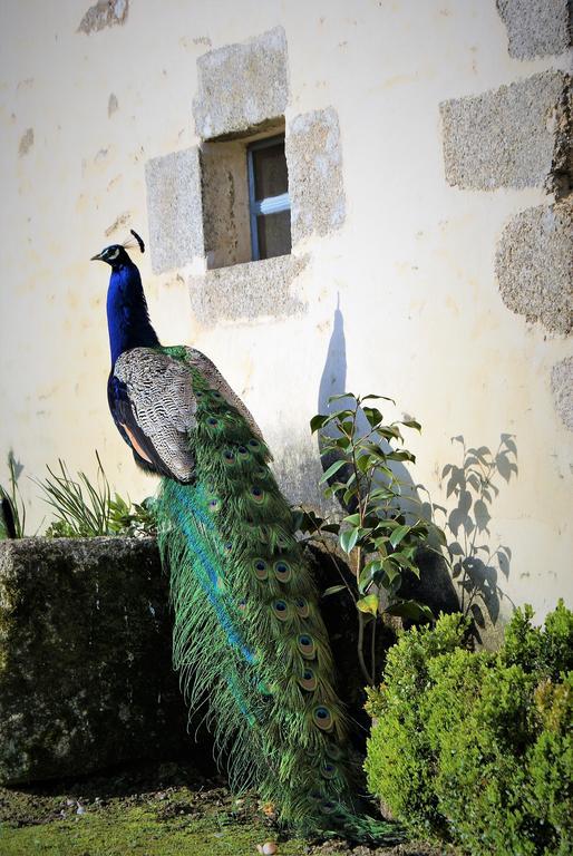 Chateau De La Chasse-Guerre Bed & Breakfast Hardanges Екстериор снимка